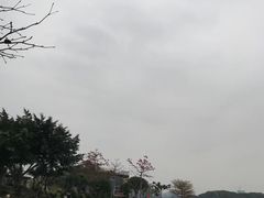 -海沧湾公园