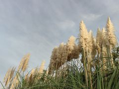 -上海山野camping·户外天幕烧烤·团建拓展营地