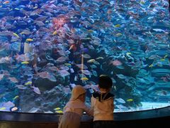 -成都浩海立方海洋公园