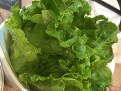 -探窝·竹笙椰子鸡(杨箕店)