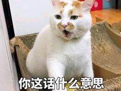 -拾下卜卜贝•海鲜火锅
