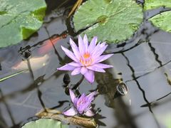 -国家植物园南园