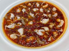 -青花椒花椒鱼(合生汇店)