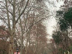 -雨花台烈士纪念馆