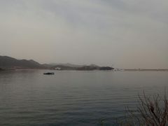 -望湖烤鱼
