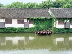 -鲁镇