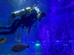 -沈阳海洋探索中心