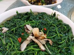 -七叔家宴家常广西菜(明秀东路店)