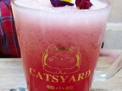 -猫小院猫主题餐厅(南锣旗舰店)