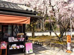 -醍醐寺