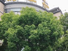 -马旺子酒楼