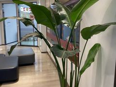 -牙博士口腔品牌连锁(杨浦店)