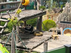 -大连森林动物园