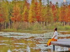 -白鹭湾湿地公园