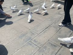 -天津妈祖文化园