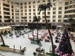 -北京王府井天伦王朝酒店
