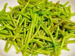 腊肉炒芦蒿-井水小厨·湘菜(活力广场店)