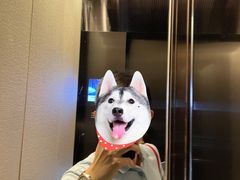 -长沙尼依格罗酒店