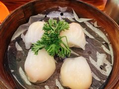 -澳门陈光记烧味饭店(南京德基广场店)