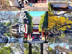 -秋霞圃
