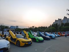 -枫花园汽车电影院(朝阳公园店)