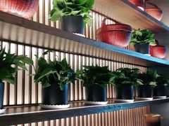 -盡膳口福跷脚牛肉火锅(北美新天地店)