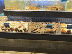 -青蓬蒸汽海鲜·深圳老字号·团建聚会(壹方城店)