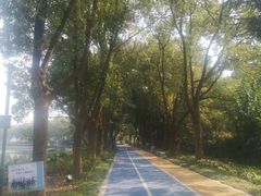 -葛仙湖公园