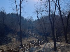 -白水寺森林公园