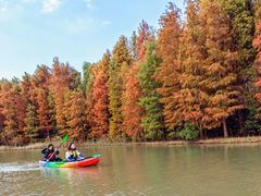 -上海海湾国家森林公园