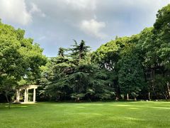 -叶叶菩提·晋福宫