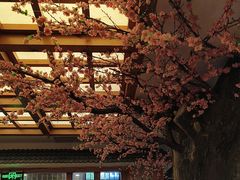 -鸥迪足道(安庆店)