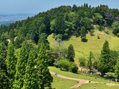 -神户市立六甲山牧场