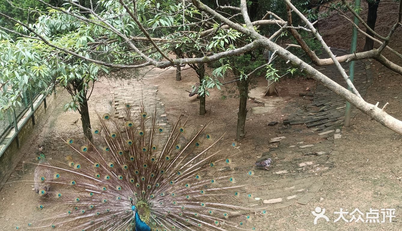 位置在遵义动物园是第一次去门票12元一个人