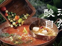 -景明轩•养生酸汤鱼火锅 云贵鲜菌 现舂野果酸汤(王寨小区店)