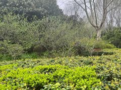 -郑州植物园