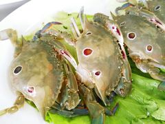 -蚝专家