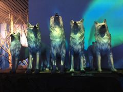 -芜湖新华联大白鲸海洋公园