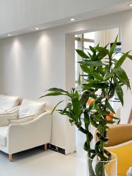 -JNK皮肤管理中心