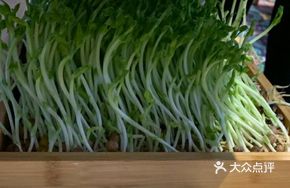 Fresh-Rolled Organic Bean Sprouts