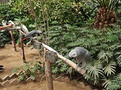 -南宫五洲植物乐园