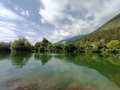 -蝴蝶泉公园