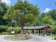 -火炉山森林公园