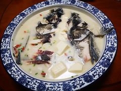 -全乐鱼馆·淳牌有机鱼直营店