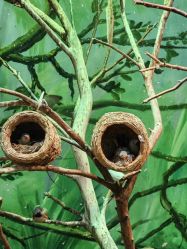 点击看大图 -Zoolung Zoolung动物主题公园(海信广场店)