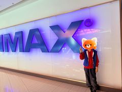 -金逸影城(武汉人信汇IMAX店)