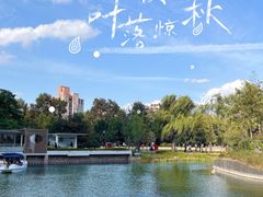 -中山公园
