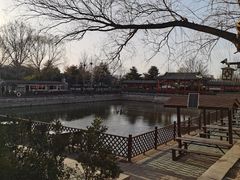 -尚庄度假村·庭台树下·户外烧烤·团建CS·轰趴营地(上庄水库店)