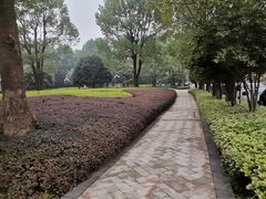 -湖北文旅洪宾红莲湖酒店
