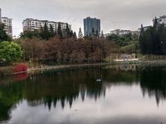 -深圳龙潭公园